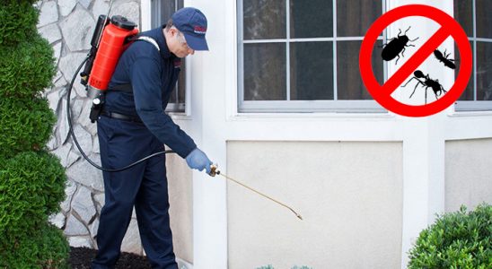 Taraklı Gümüşkurt İlaçlama böcek ilaçlama ve haşere kontrolü — ilaclama-tr.com